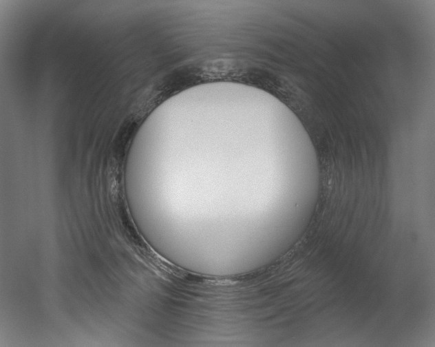 X0000052590226200507010948