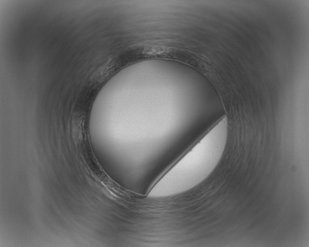 X0000052590227200507010948