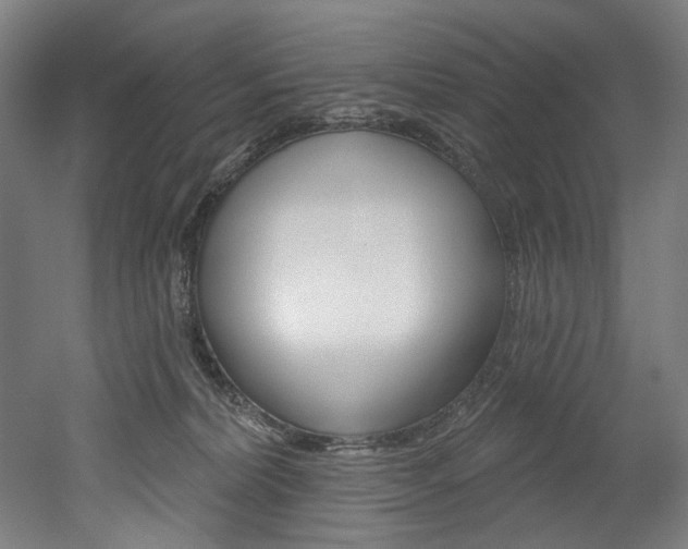 X0000052590228200507010948