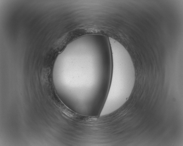 X0000052590229200507010948