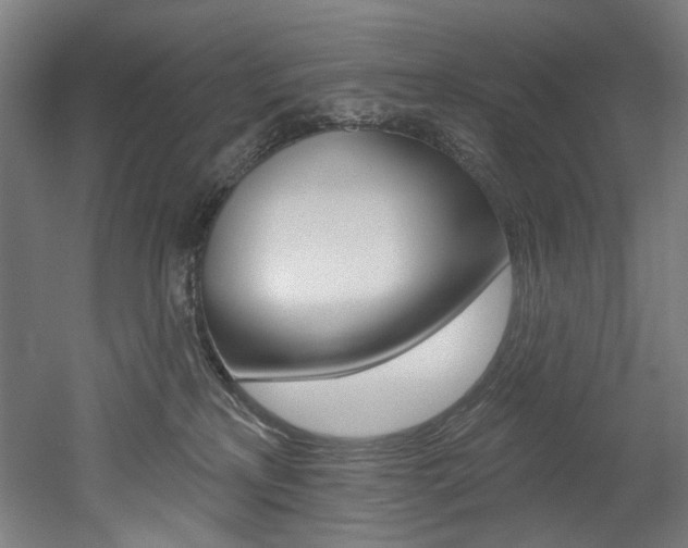 X0000052590233200507010948