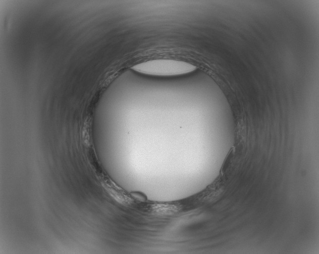 X0000052590234200507010948