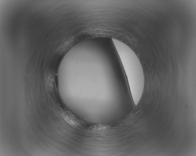 X0000052590235200507010948