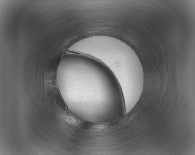 X0000052590237200507010947