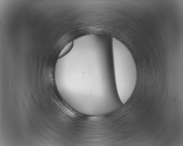 X0000052590238200507010947