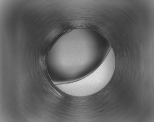 X0000052590239200507010947