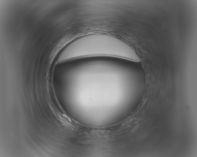 X0000052590242200507010947