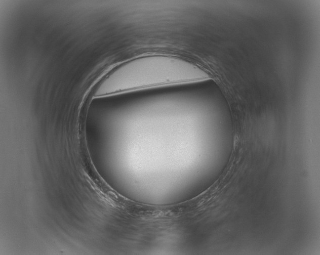 X0000052590243200507010947