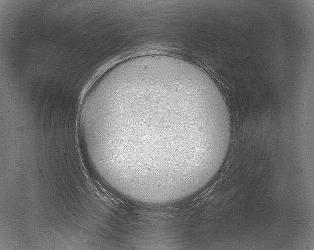 X0000052590244200507010947