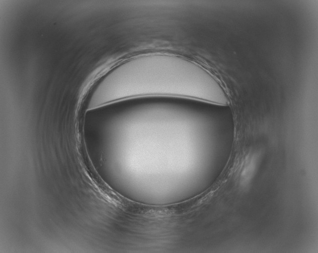 X0000052590245200507010947