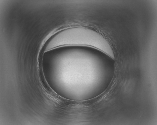 X0000052590246200507010947