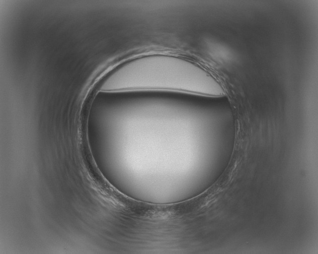 X0000052590247200507010947