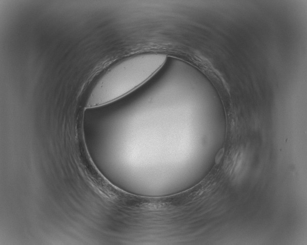 X0000052590250200507010947