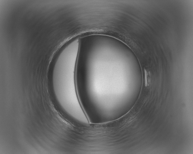 X0000052590252200507010947