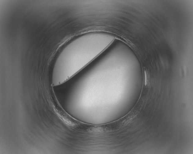 X0000052590253200507010947