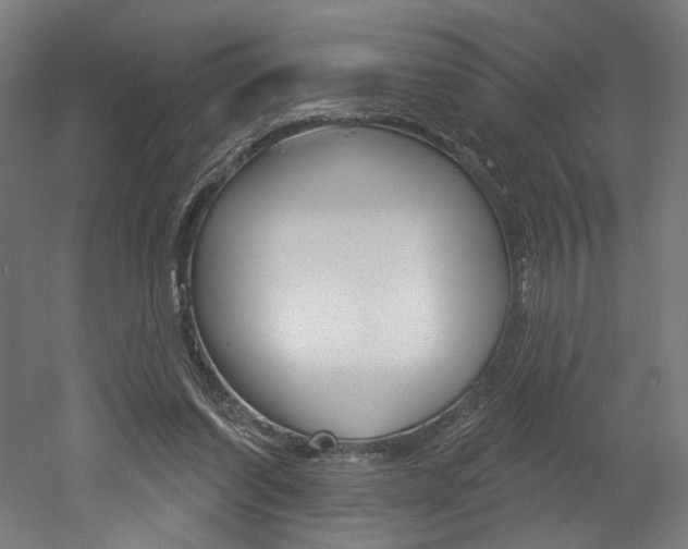 X0000052590254200507010947