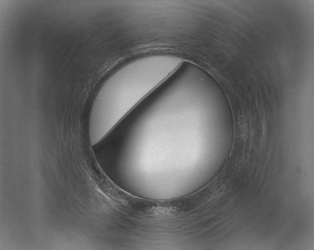 X0000052590255200507010947