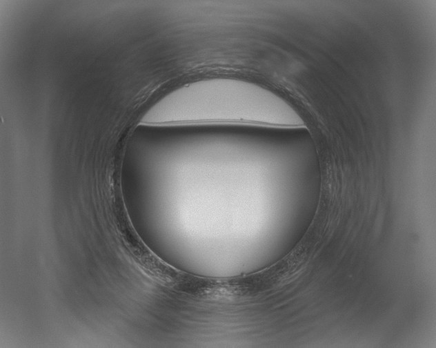 X0000052590259200507010947