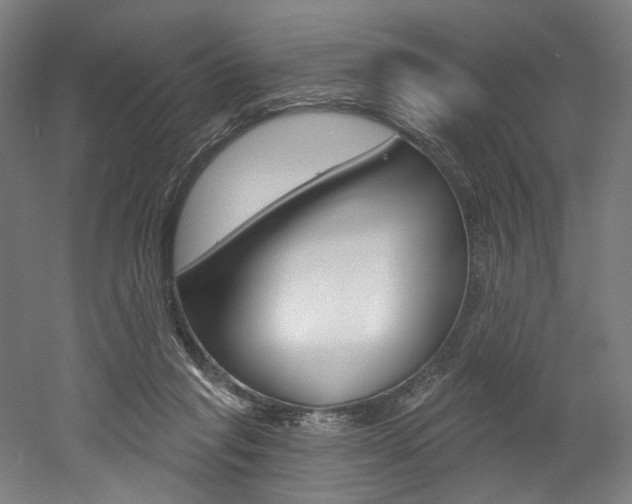 X0000052590261200507010947