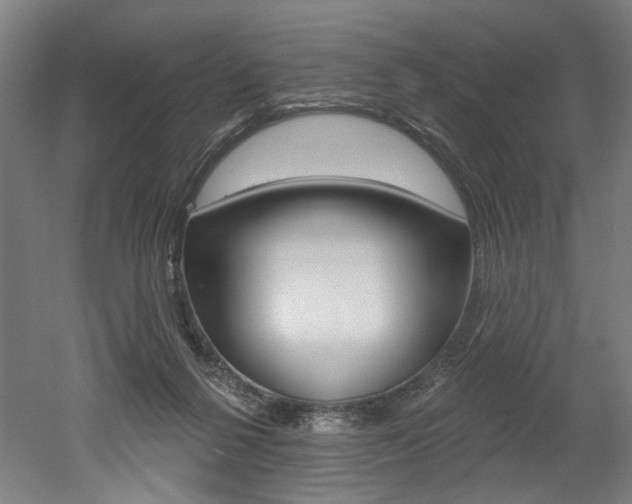 X0000052590264200507010947