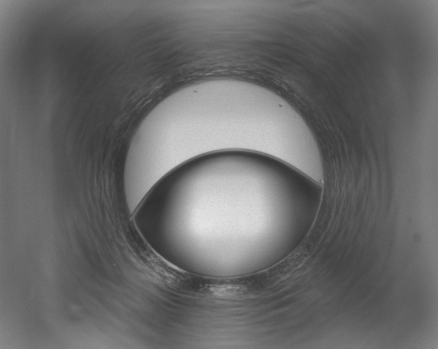 X0000052590268200507010947