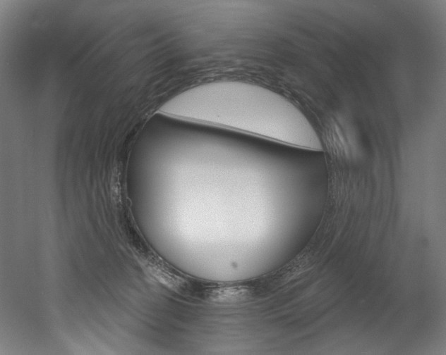 X0000052590274200507010947