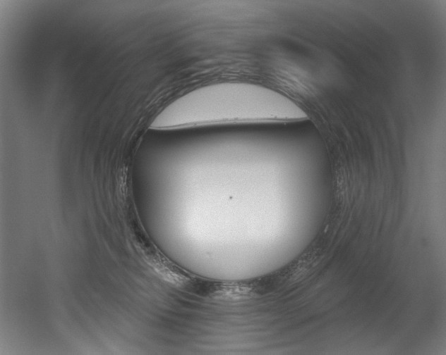 X0000052590278200507010947