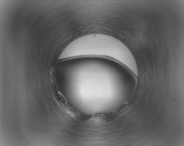 X0000052590280200507010947