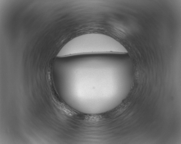 X0000052590282200507010947
