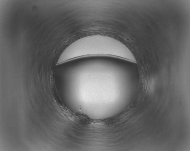 X0000052590283200507010947
