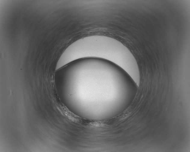 X0000052590284200507010947