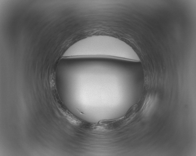 X0000052590285200507010947
