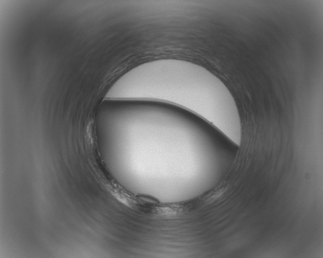 X0000052590286200507010947