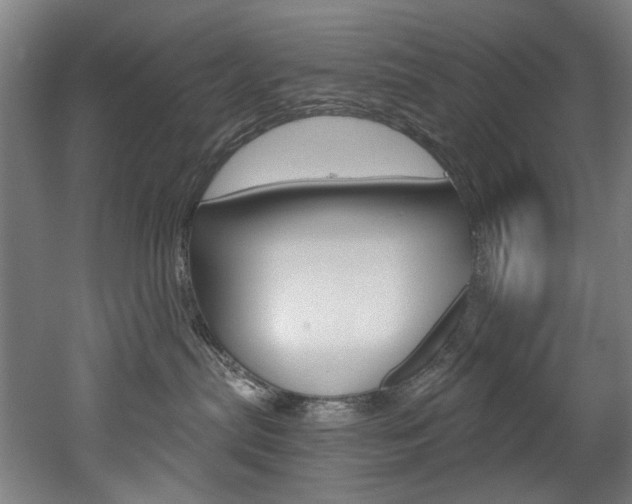 X0000052590287200507010947