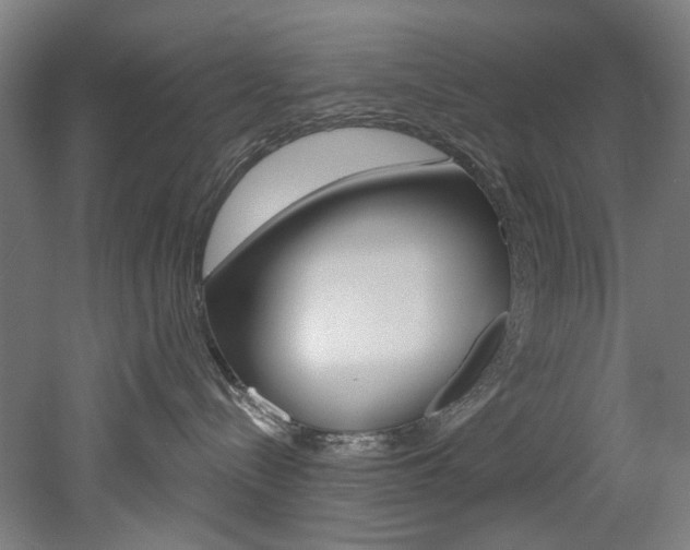 X0000052590288200507010947