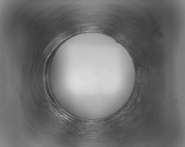 X0000052590290200507010947