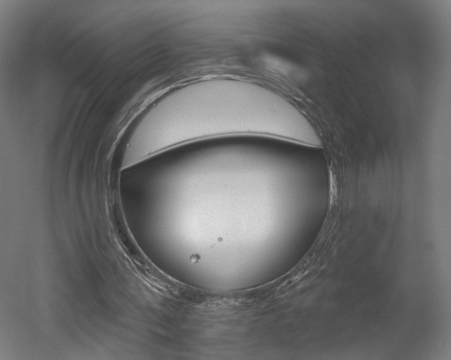 X0000052590291200507010947