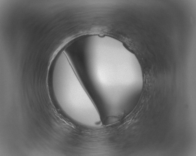 X0000052590292200507010947