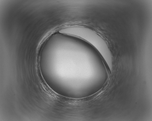 X0000052590293200507010947