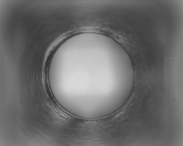 X0000052590294200507010947