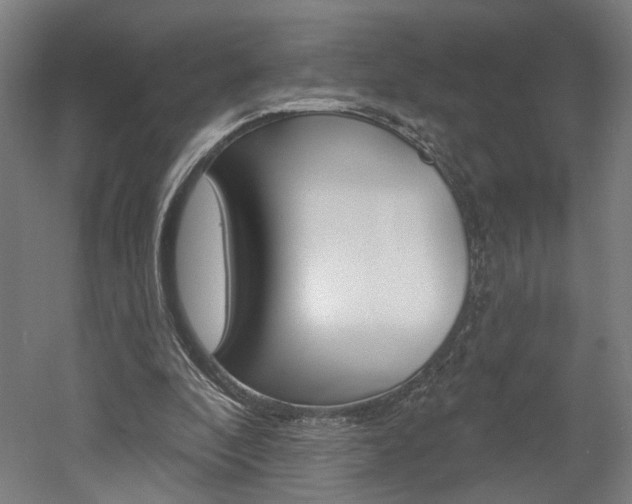 X0000052590296200507010946