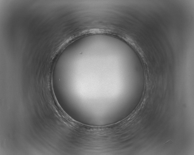 X0000052590297200507010946