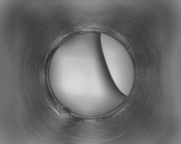 X0000052590298200507010946