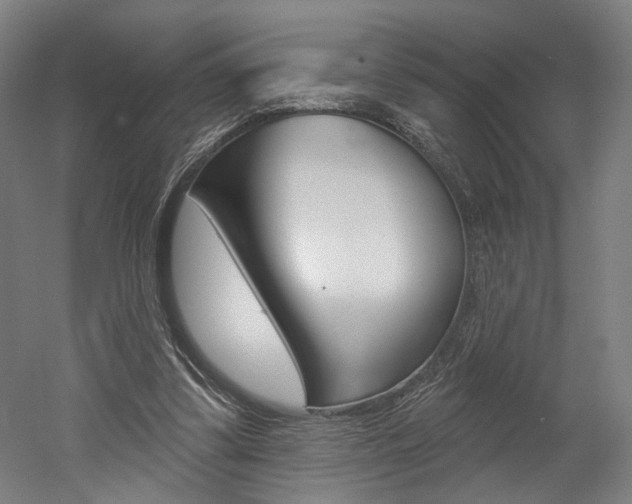 X0000052590299200507010946
