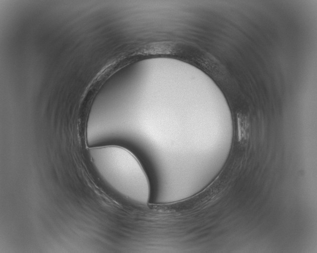X0000052590300200507010946