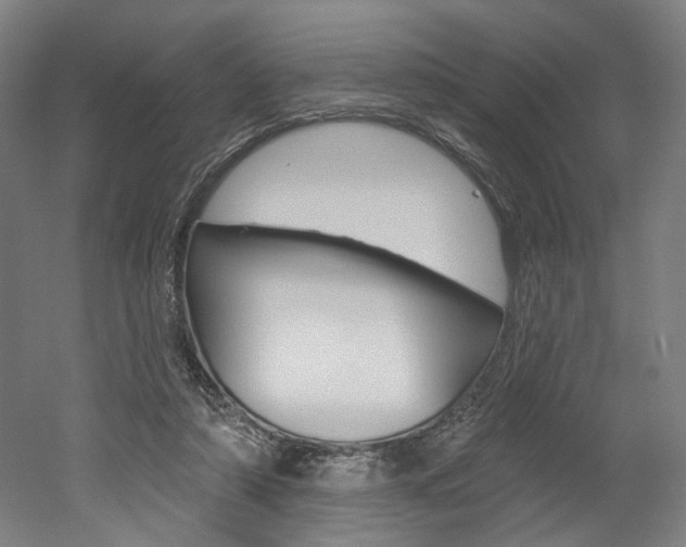 X0000052590306200507010946