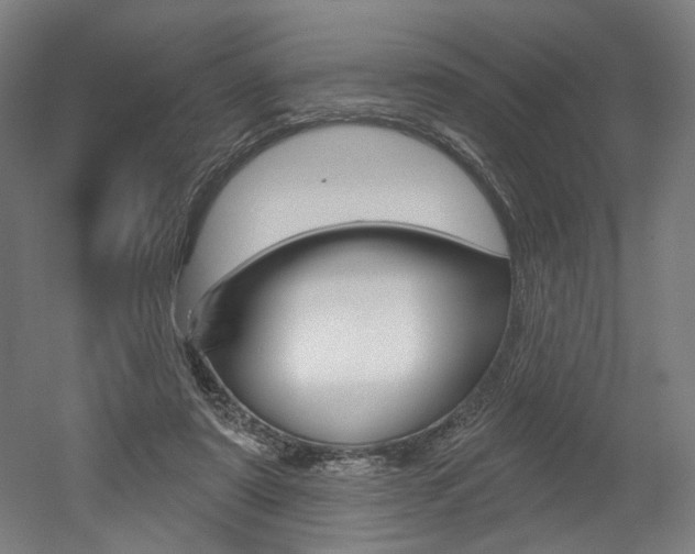 X0000052590307200507010946