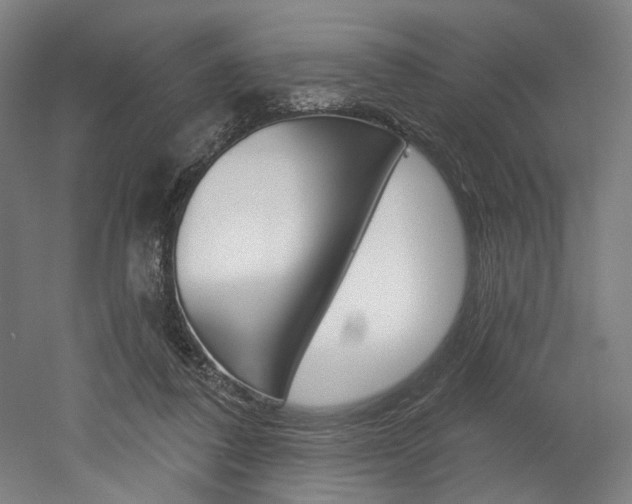 X0000052590308200507010946