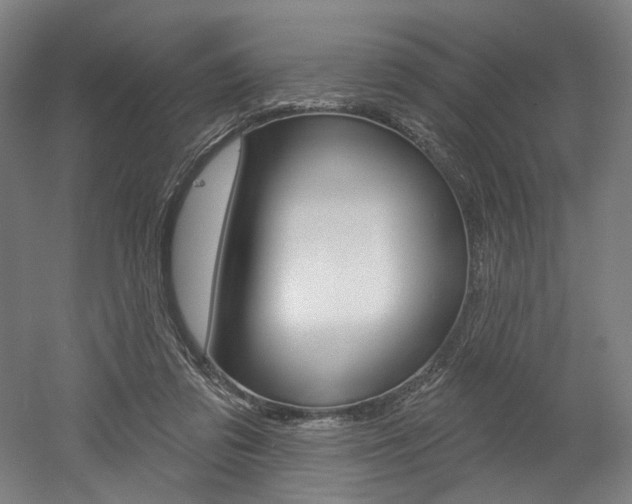 X0000052590309200507010946