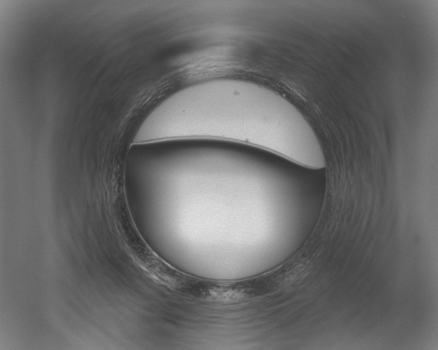X0000052590311200507010946
